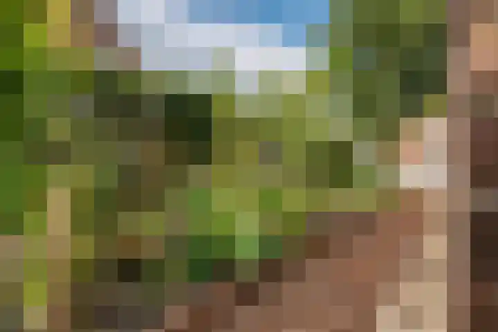 Zuidenweg 5 Dwingeloo thumbnail 32
