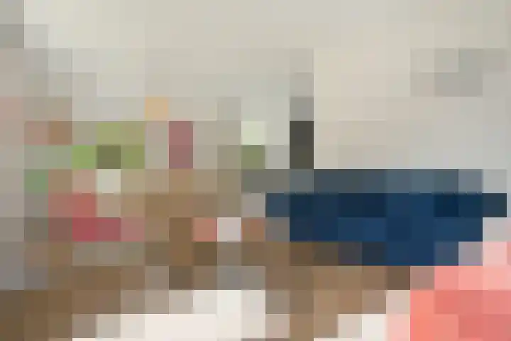 Zuidenweg 5 Dwingeloo thumbnail 5