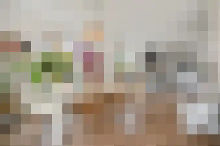 Zuidenweg 5 Dwingeloo thumbnail 8