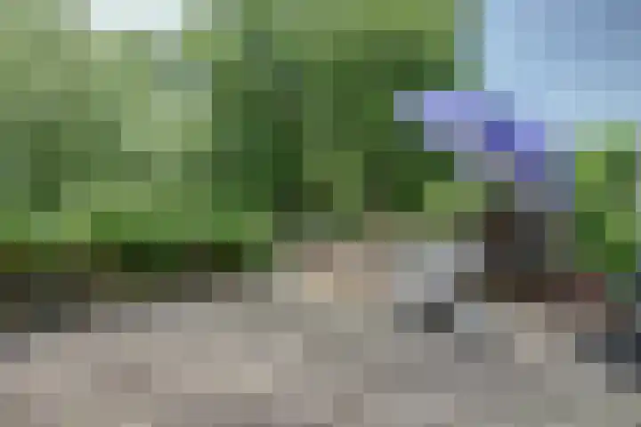 Zuider Boerenvaart 36 Enkhuizen thumbnail 24