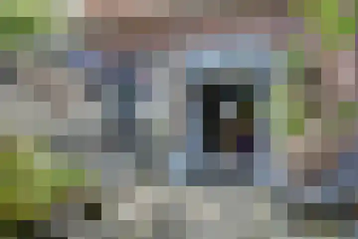 Zuider Boerenvaart 36 Enkhuizen thumbnail 4
