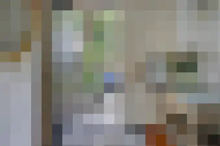 Zuider Boerenvaart 36 Enkhuizen thumbnail 5