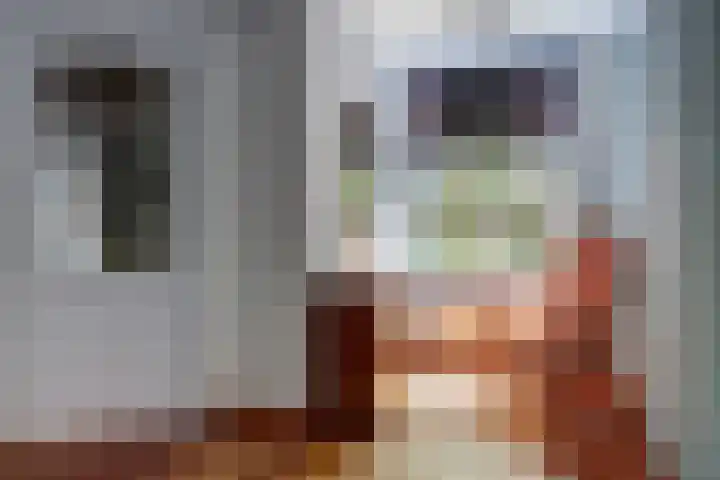 Zuider Boerenvaart 36 Enkhuizen thumbnail 7