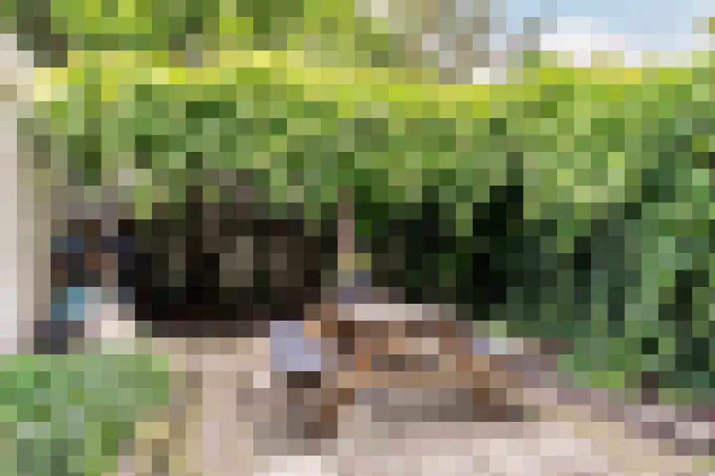 Zuider Buiten Spaarne 120 Haarlem thumbnail 15