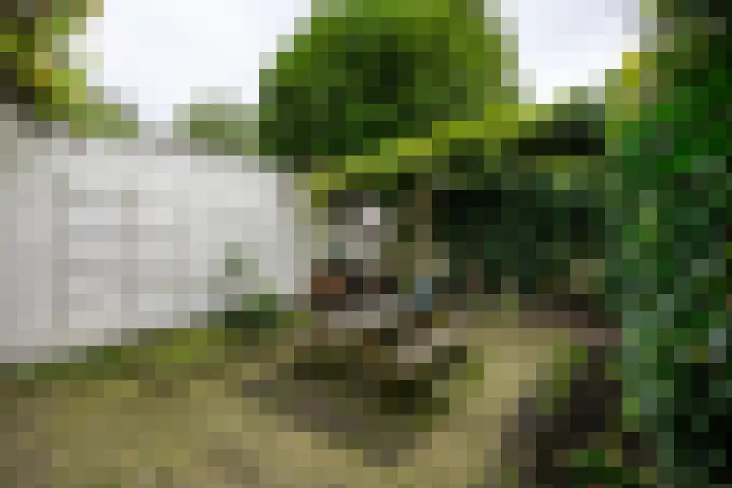 Zuider Buiten Spaarne 120 Haarlem thumbnail 17