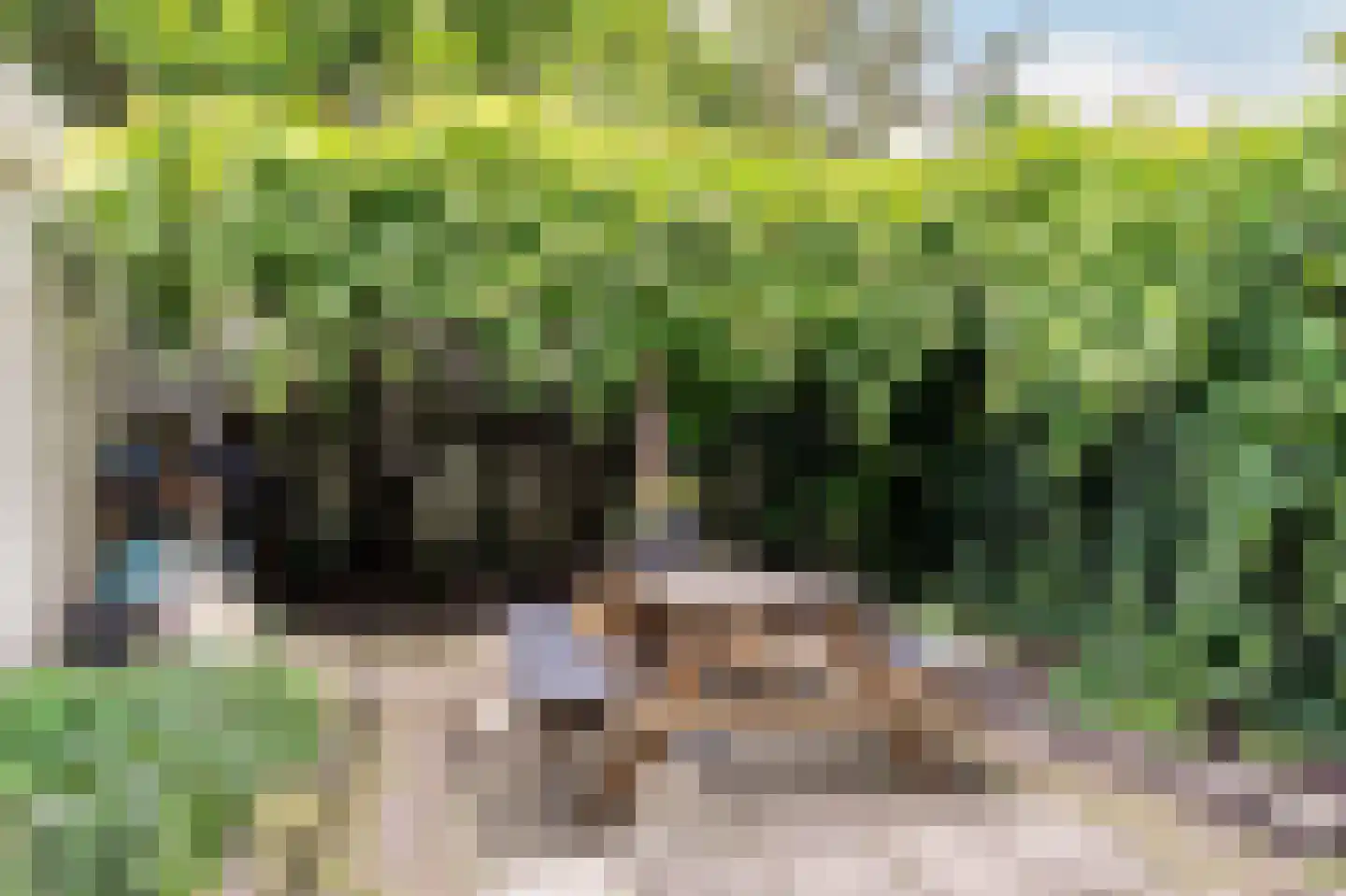 Zuider Buiten Spaarne 120 Haarlem thumbnail 17