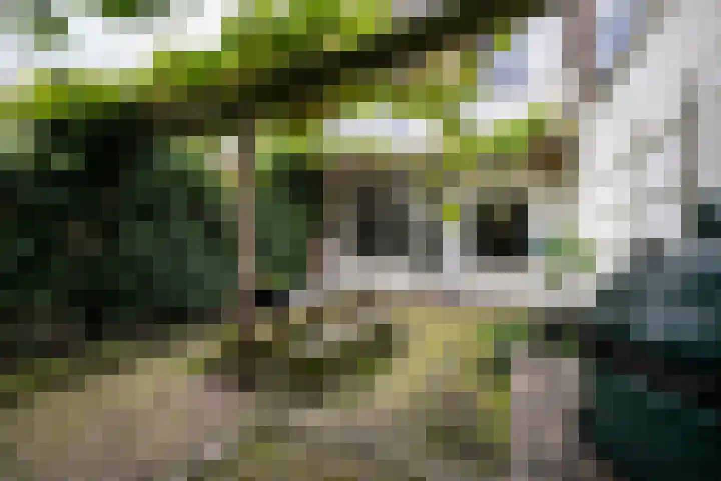 Zuider Buiten Spaarne 120 Haarlem thumbnail 18