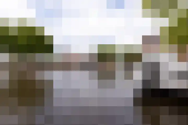 Zuider Buiten Spaarne 50 F Haarlem thumbnail 23