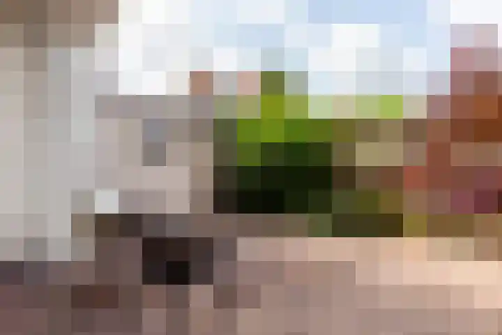 Zuider Buiten Spaarne 52 Haarlem thumbnail 19