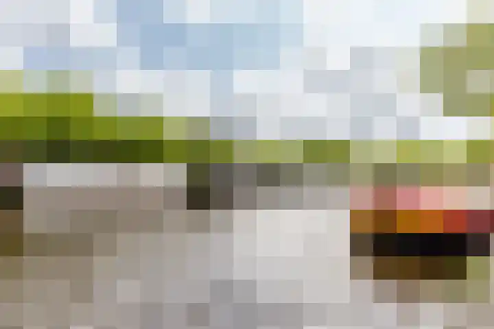 Zuider Buiten Spaarne 52 Haarlem thumbnail 23