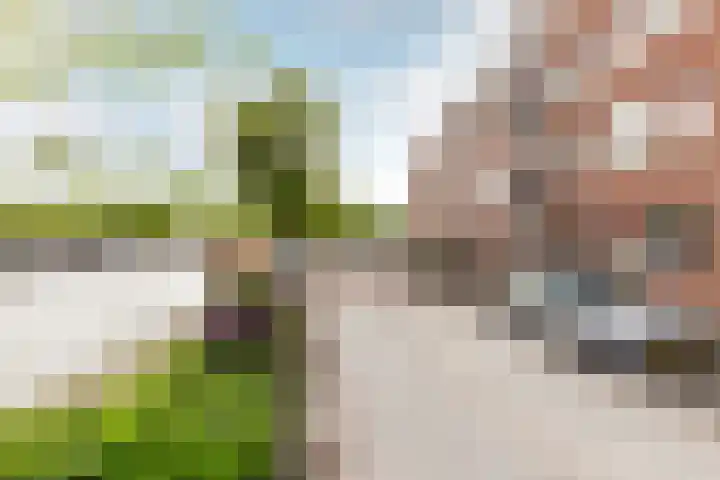 Zuider Buiten Spaarne 52 Haarlem thumbnail 25