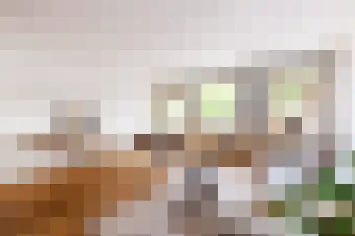 Zuider Buiten Spaarne 52 Haarlem thumbnail 9