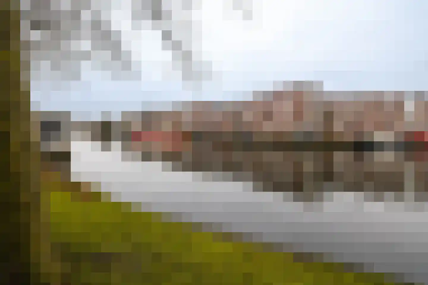 Zuider Buiten Spaarne 58 Haarlem thumbnail 14
