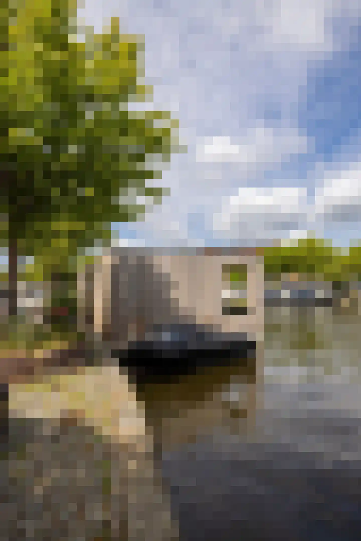 Zuider Buiten Spaarne 65 Haarlem thumbnail 60