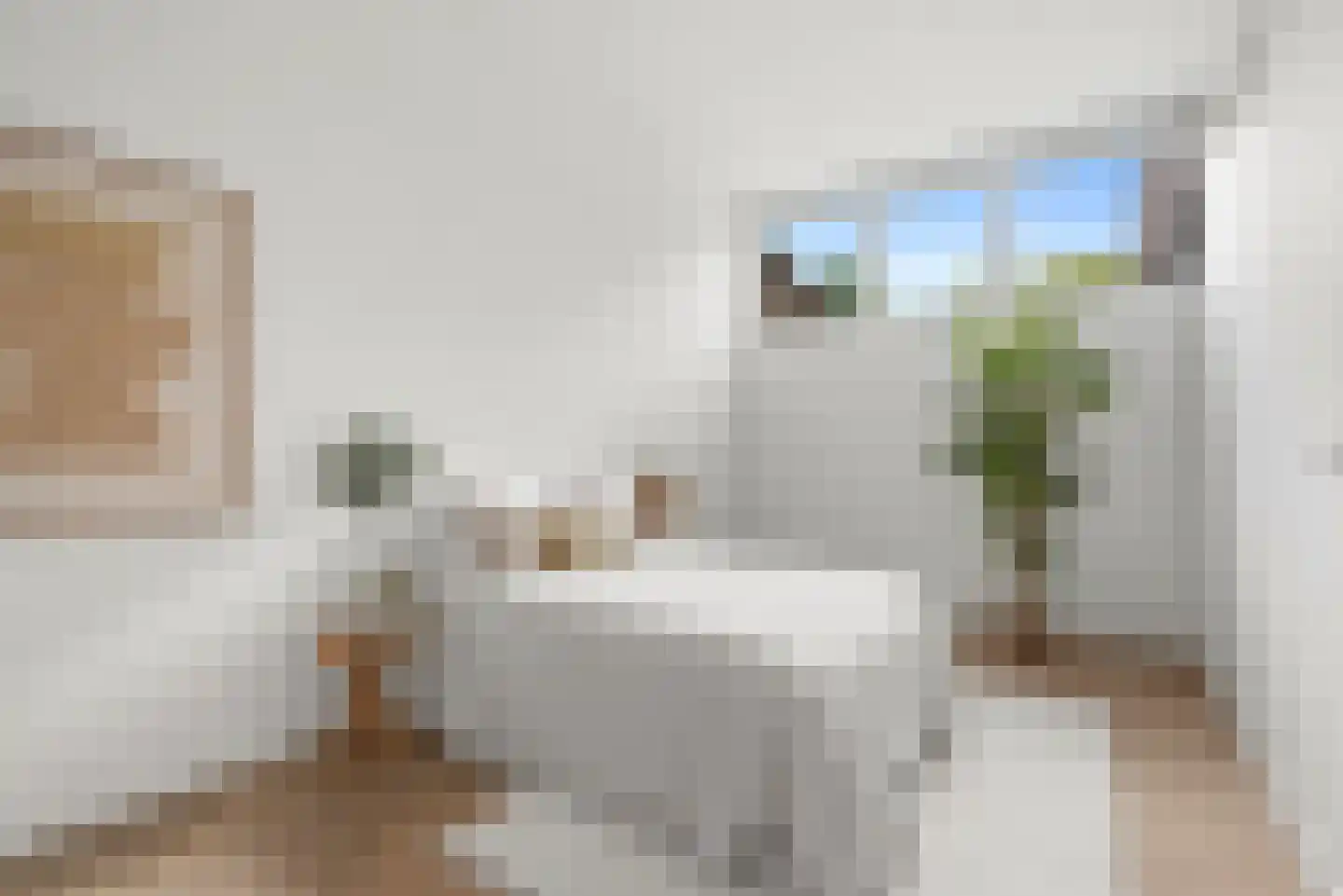 Zuider Emmakade 63 Haarlem thumbnail 23