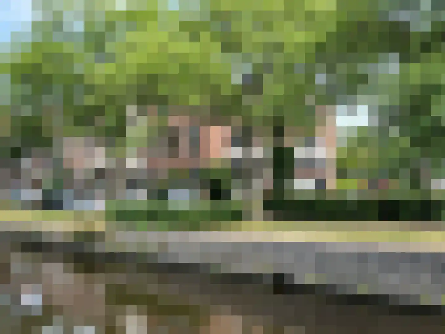 Zuider Emmakade 63 Haarlem thumbnail 6