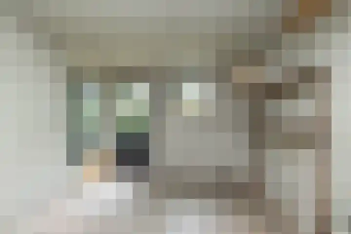 Zuider Esweg 24 b Zuidwolde thumbnail 17