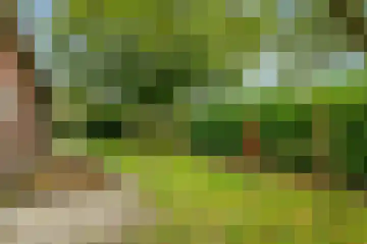 Zuider Esweg 24 b Zuidwolde thumbnail 39