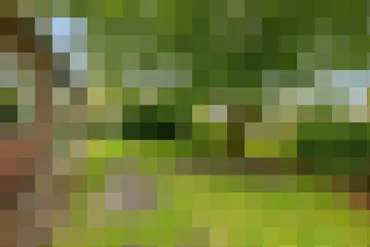Zuider Esweg 24 b Zuidwolde thumbnail 40