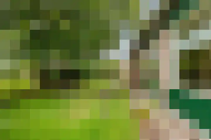Zuider Esweg 24 b Zuidwolde thumbnail 41