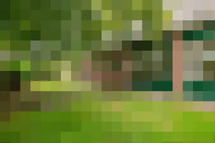 Zuider Esweg 24 b Zuidwolde thumbnail 42