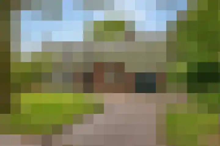 Zuider Esweg 24 b Zuidwolde thumbnail 47