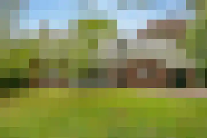 Zuider Esweg 24 b Zuidwolde thumbnail 48