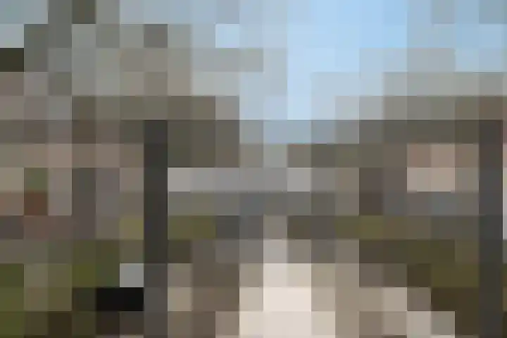 Zuider Havendijk 27 Enkhuizen thumbnail 37