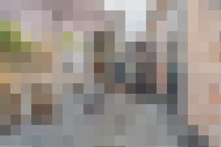 Zuider Havendijk 4 Enkhuizen thumbnail 4
