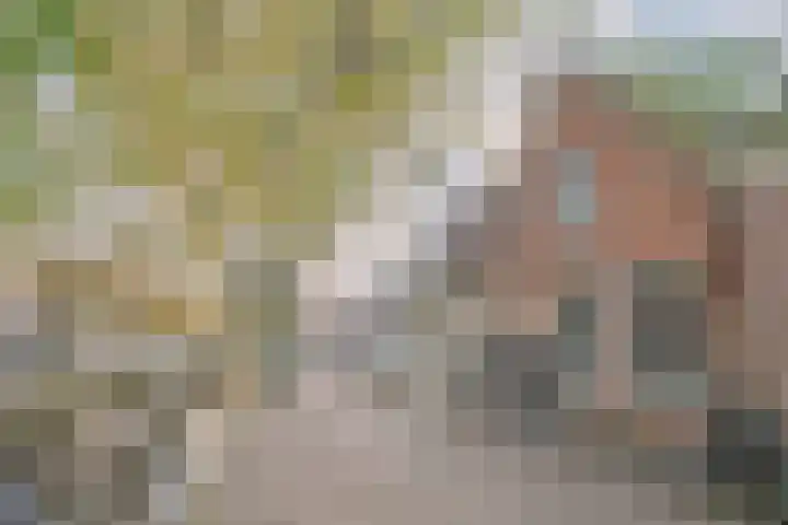 Zuider Havendijk 4 Enkhuizen thumbnail 49