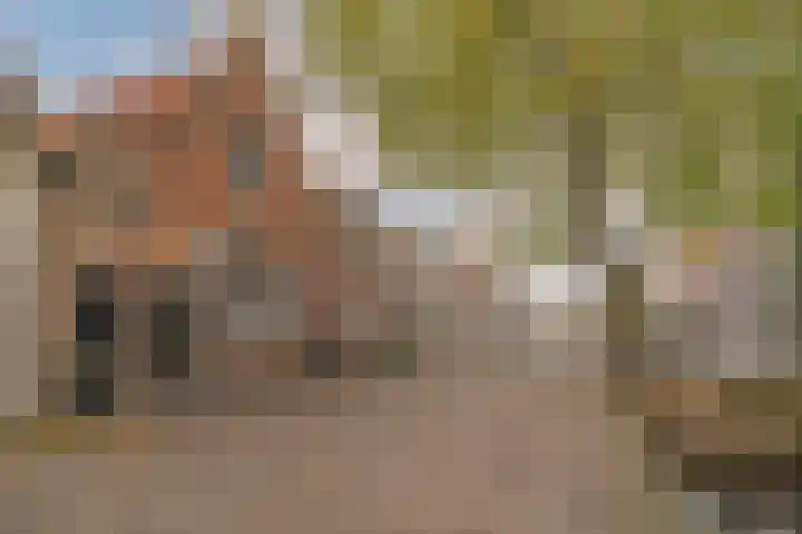 Zuider Havendijk 4 Enkhuizen thumbnail 7