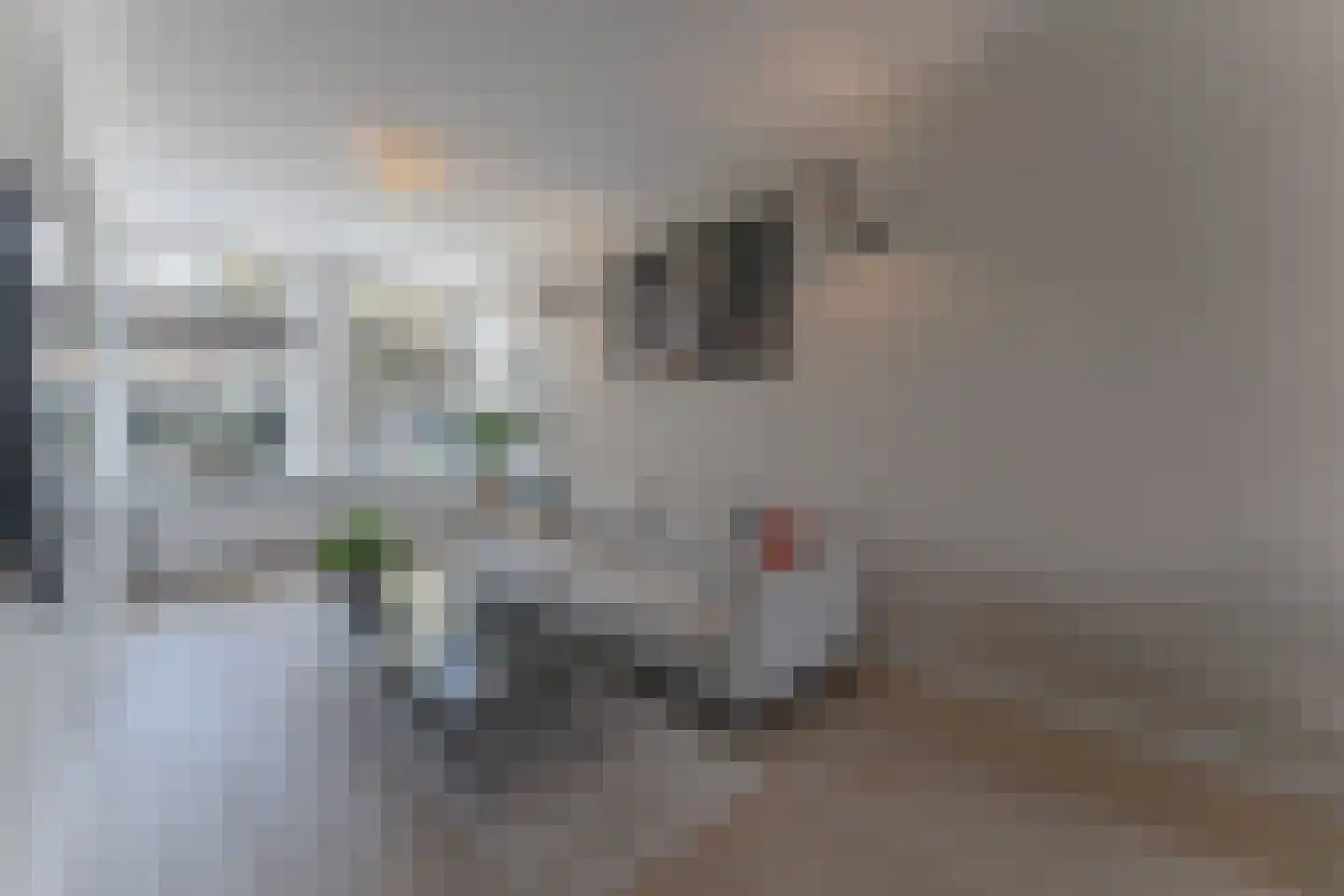 Zuider Havendijk 68 Enkhuizen thumbnail 17