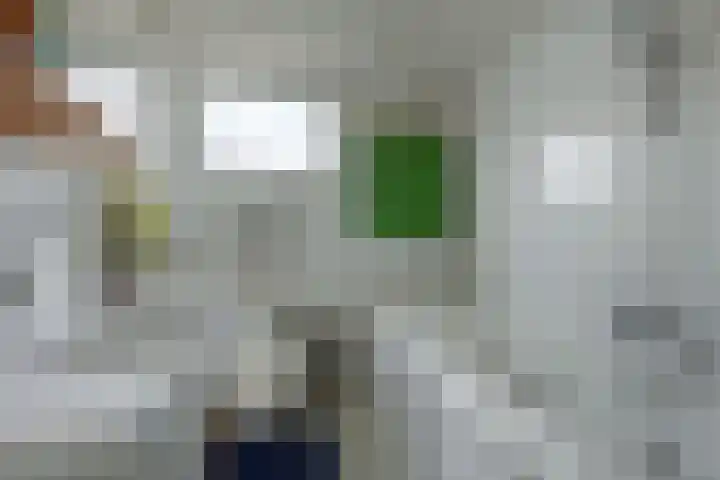 Zuider IJdijk 117 Amsterdam thumbnail 24