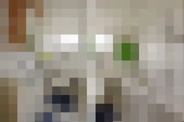 Zuider IJdijk 117 Amsterdam thumbnail 25