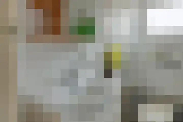 Zuider IJdijk 117 Amsterdam thumbnail 26