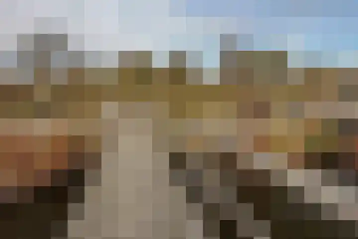 Zuider IJdijk 117 Amsterdam thumbnail 32