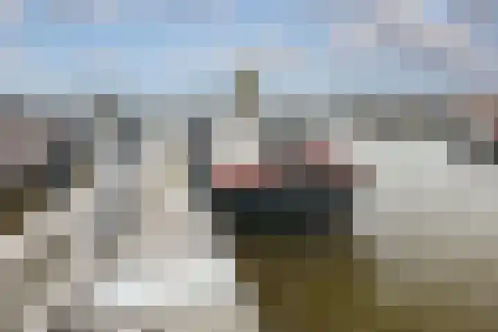Zuider IJdijk 117 Amsterdam thumbnail 34
