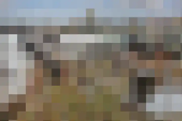 Zuider IJdijk 117 Amsterdam thumbnail 35