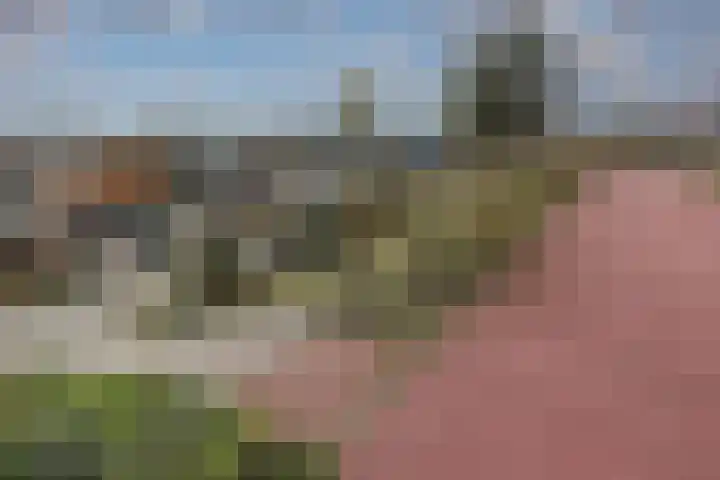Zuider IJdijk 117 Amsterdam thumbnail 37
