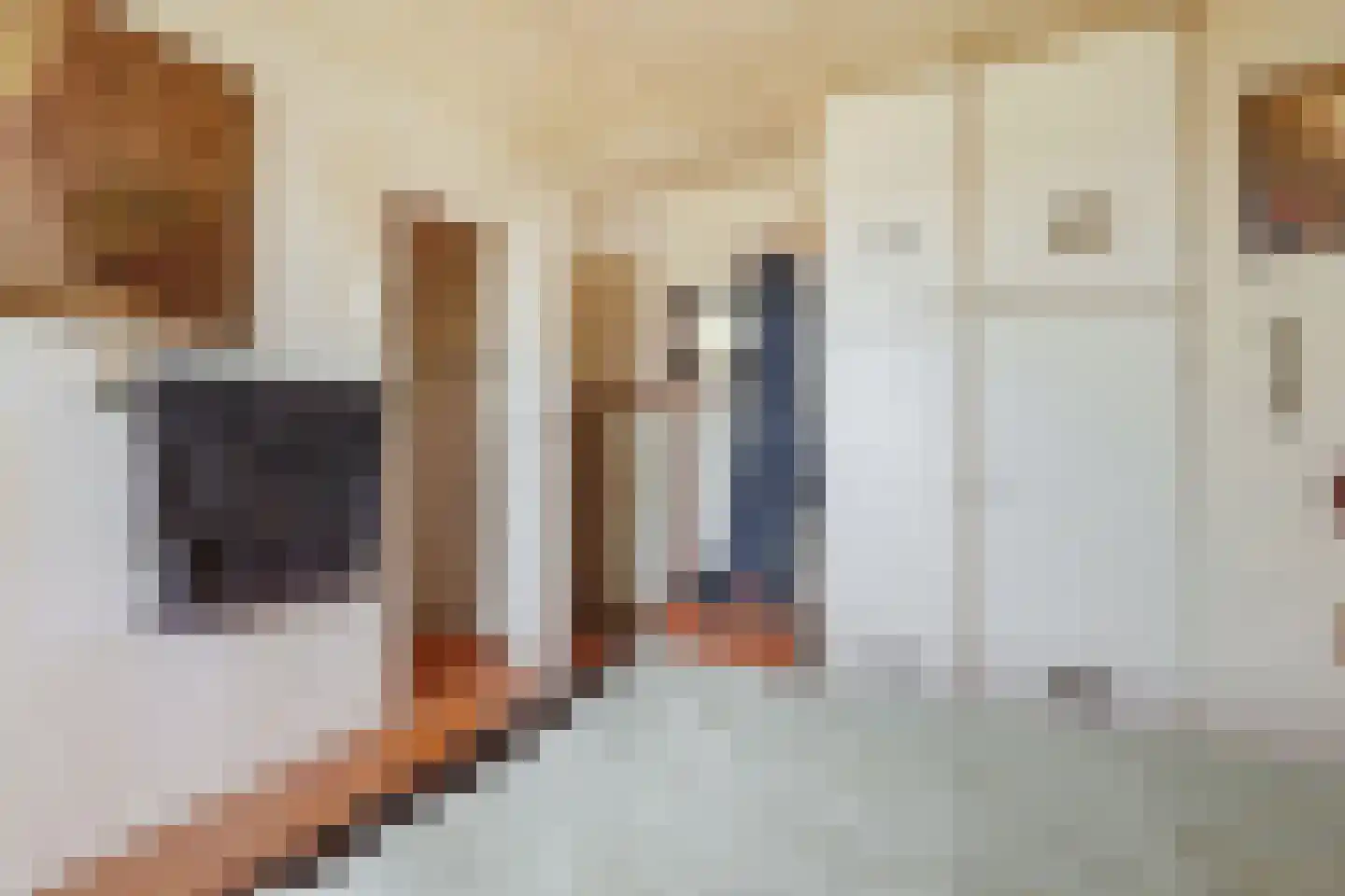 Zuider IJdijk 127 Amsterdam thumbnail 11