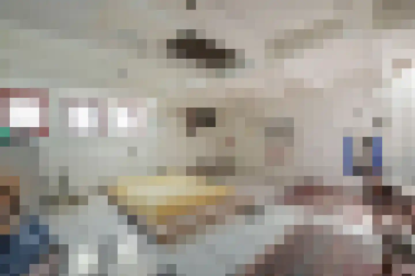 Zuider IJdijk 127 Amsterdam thumbnail 25