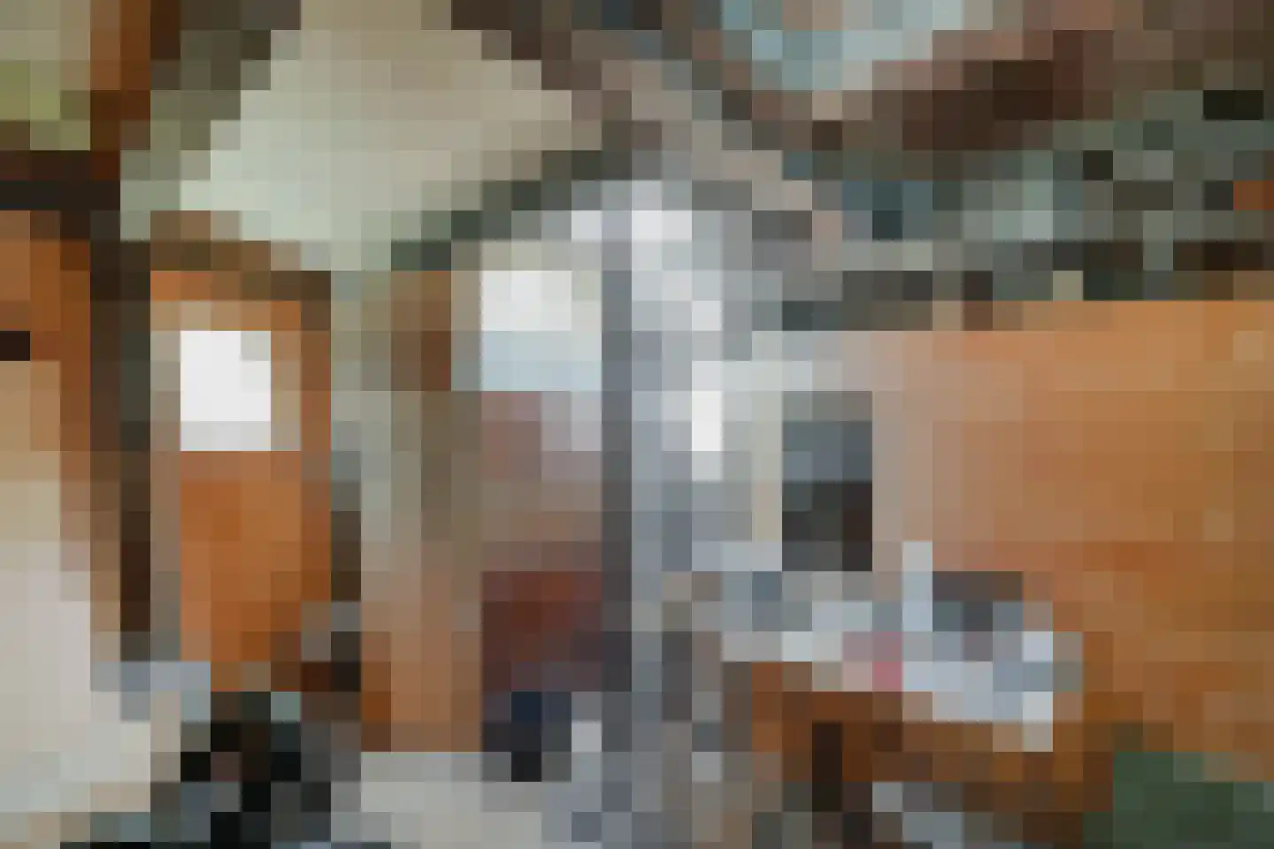 Zuider IJdijk 127 Amsterdam thumbnail 30
