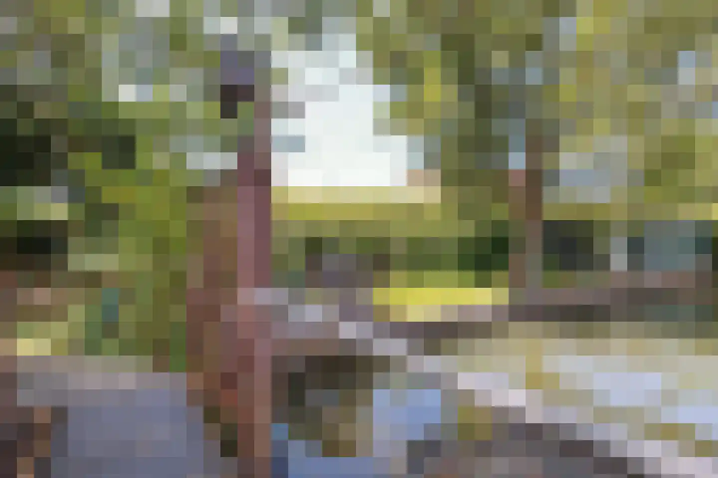 Zuider IJdijk 127 Amsterdam thumbnail 53