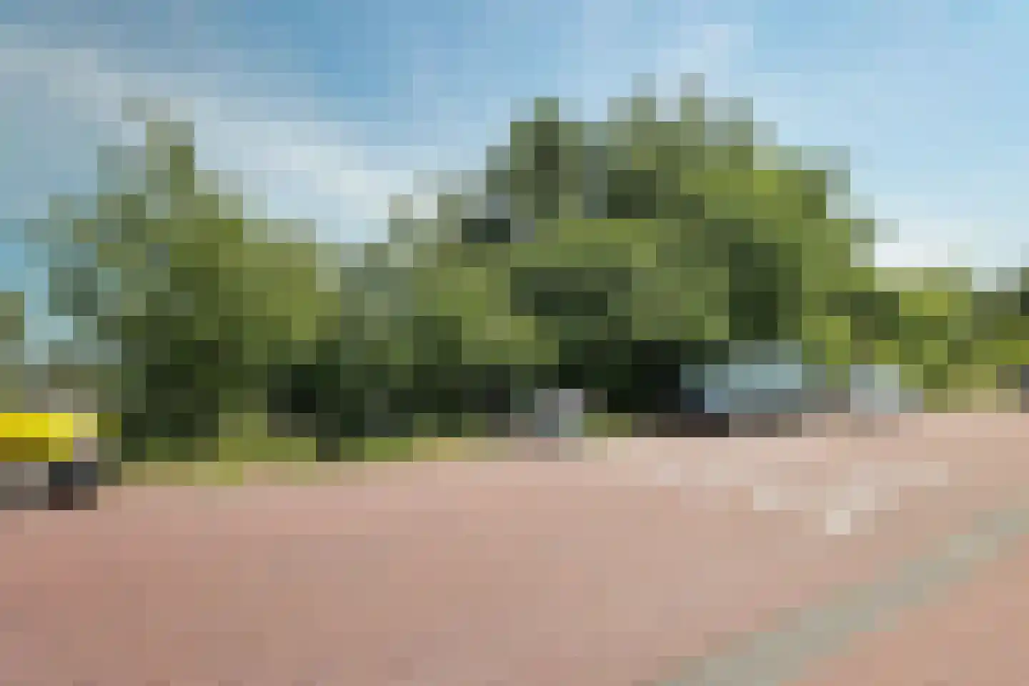 Zuider IJdijk 127 Amsterdam thumbnail 70