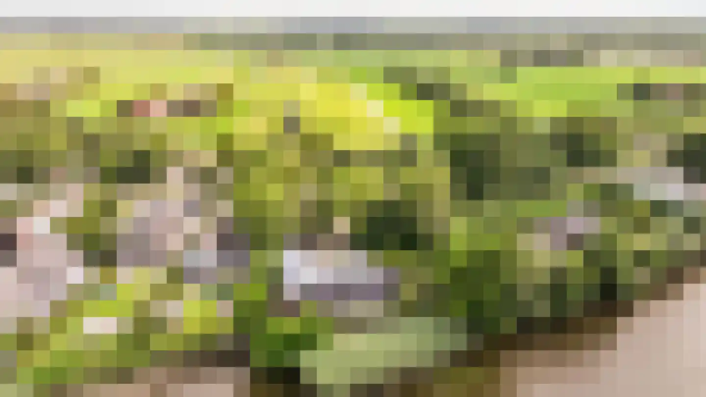 Zuider IJsseldijk 12 in Gouda