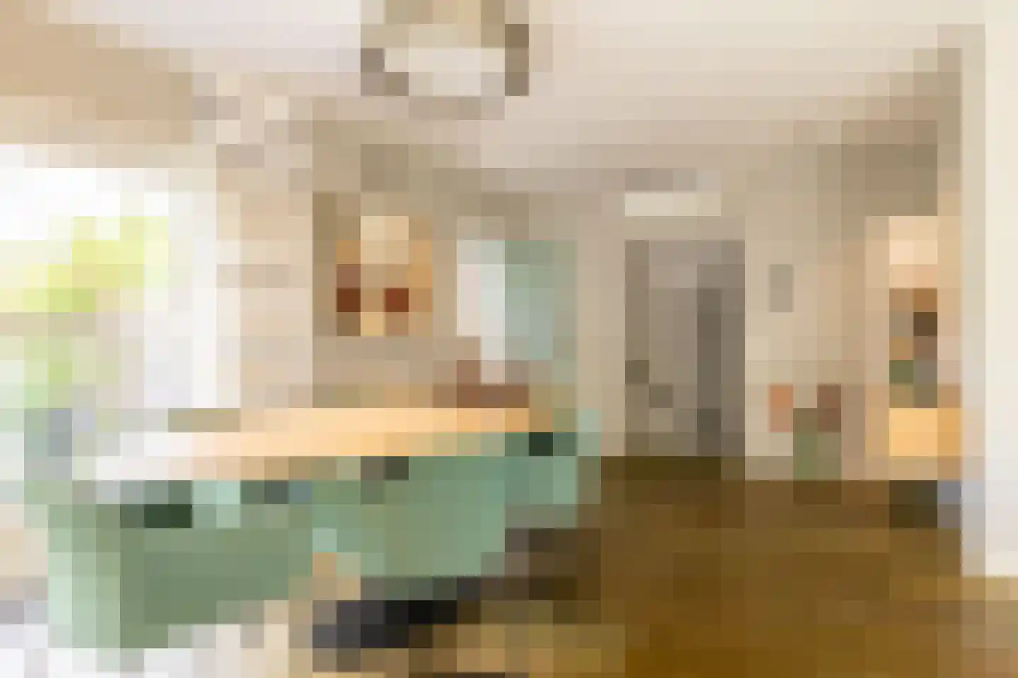 Zuider IJsseldijk 12 Gouda thumbnail 10