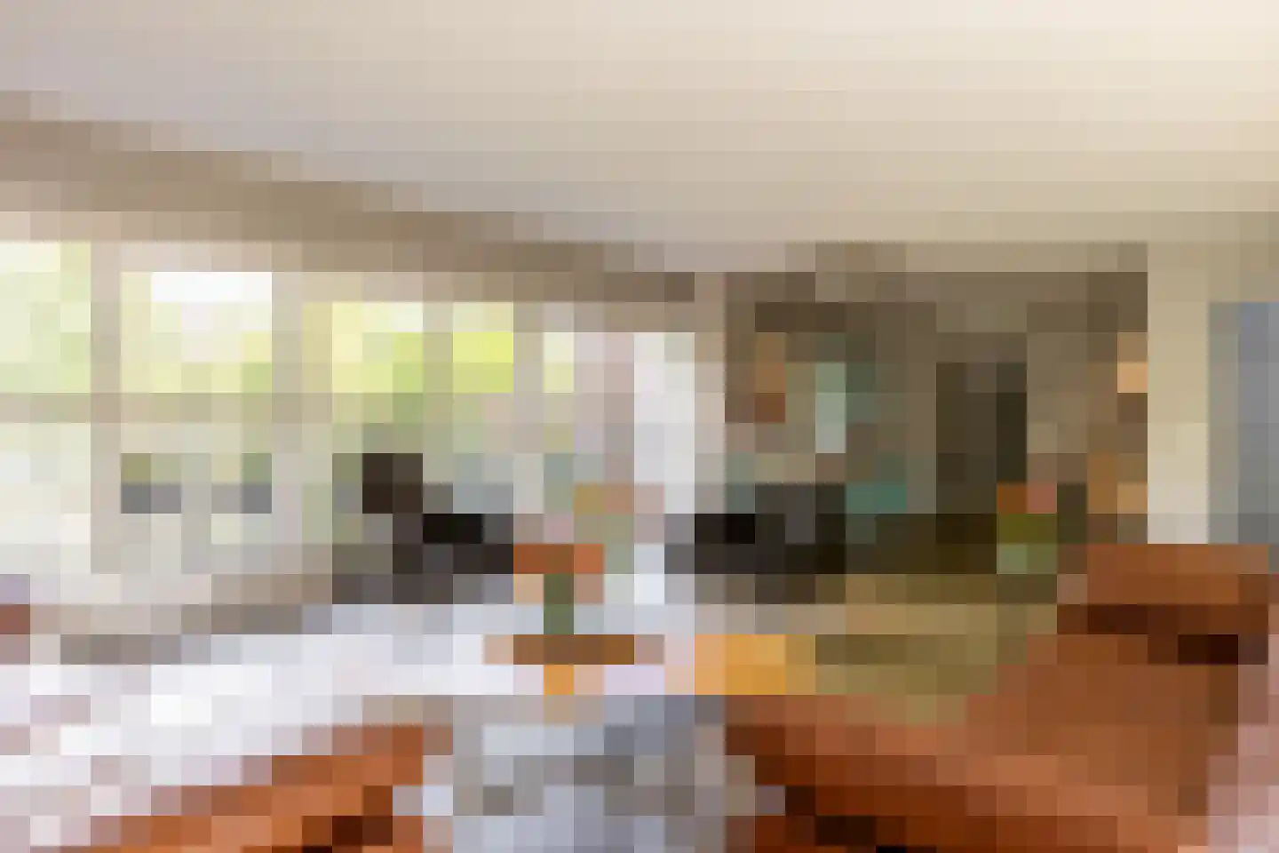 Zuider IJsseldijk 12 Gouda thumbnail 11