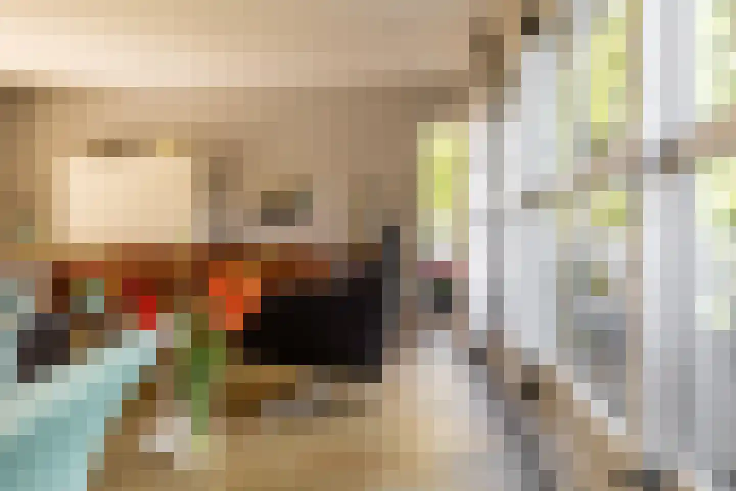 Zuider IJsseldijk 12 Gouda thumbnail 14