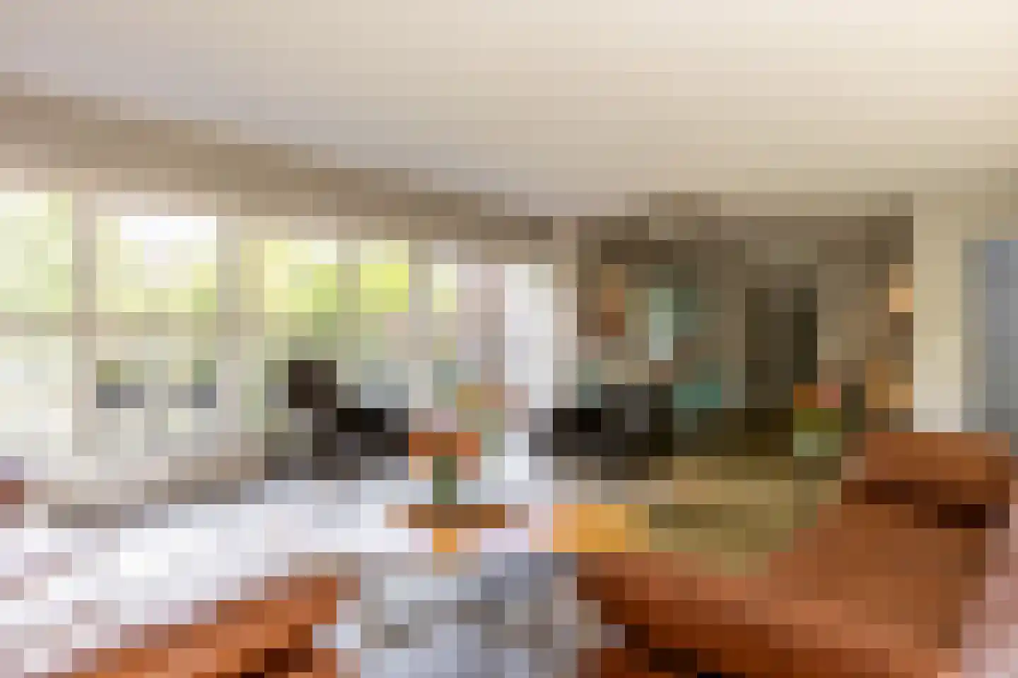 Zuider IJsseldijk 12 Gouda thumbnail 14