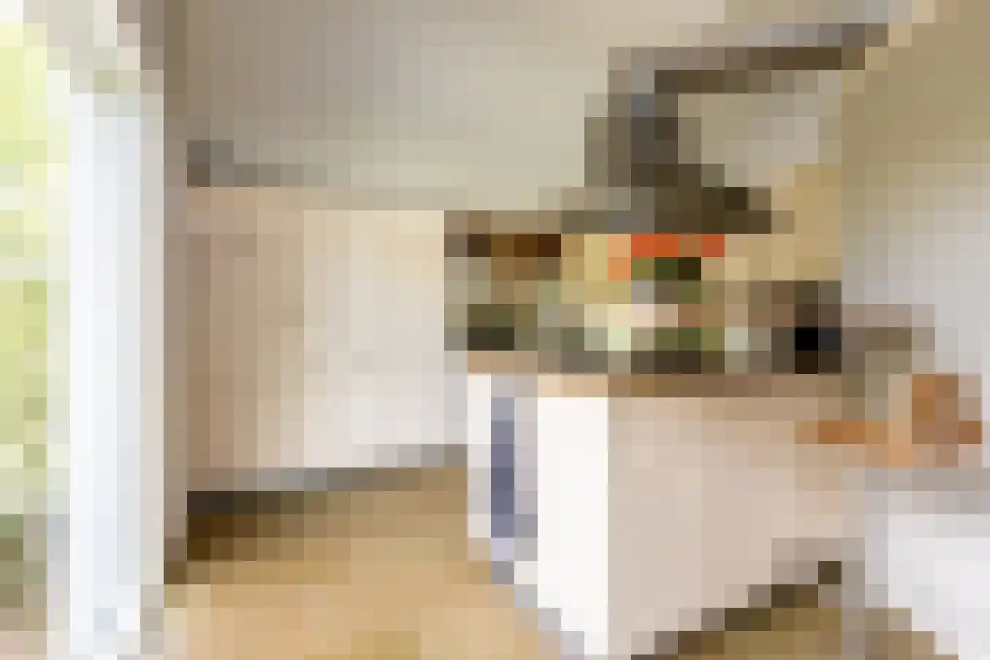 Zuider IJsseldijk 12 Gouda thumbnail 16